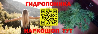 спиды Можга