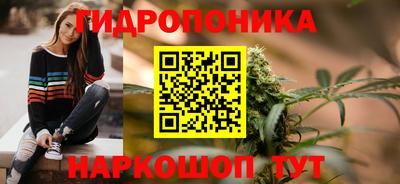 спиды Можга