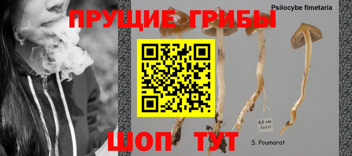 Владимир  Галлюциногенные грибы мухоморы  наркошоп  Вход с VPN 